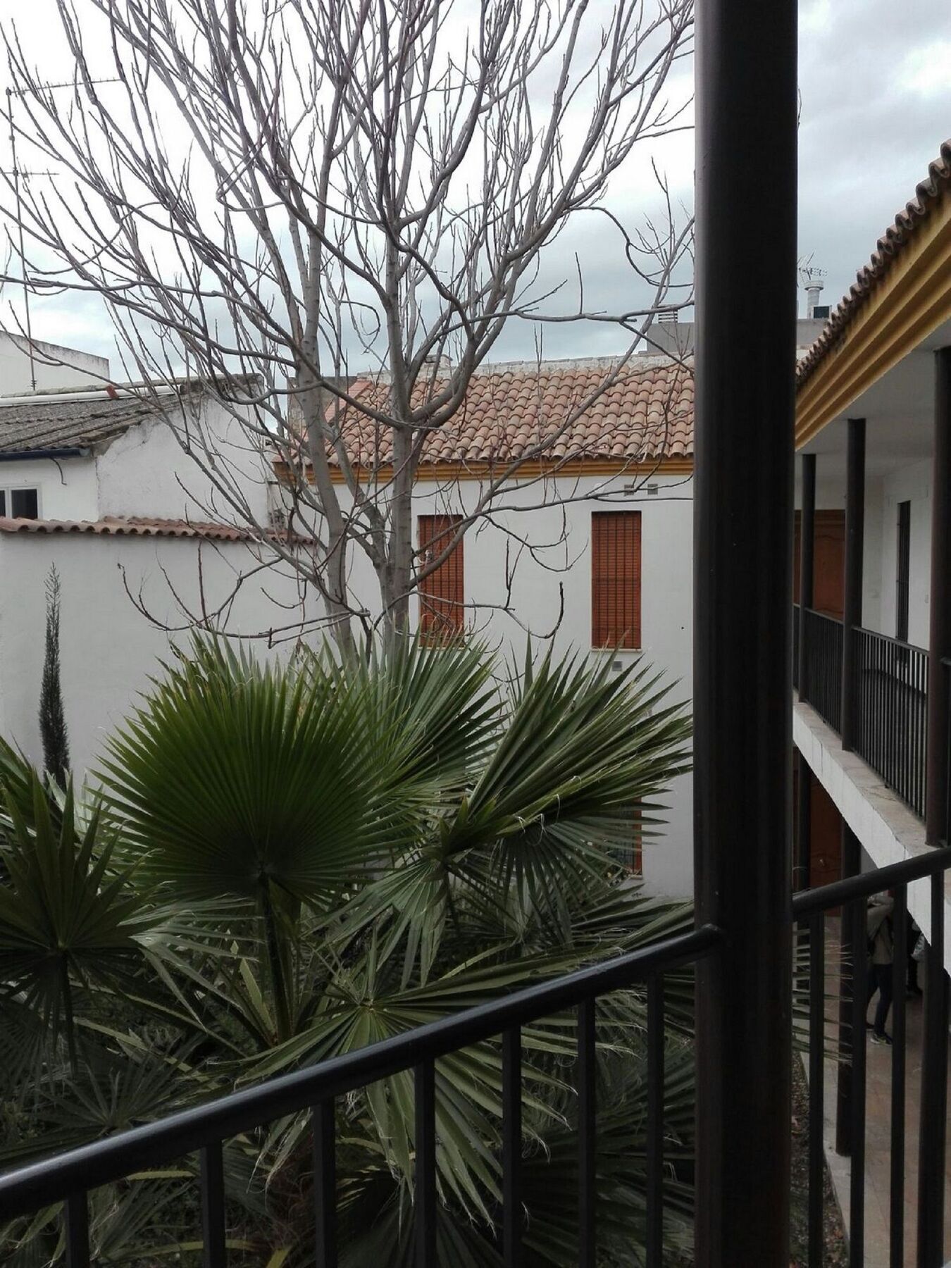 Apartamento Alfonso XII Córdoba Exterior foto